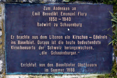 Gedenkstein