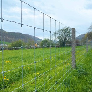 Merkblatt Zäune ausserhalb Bauzone
