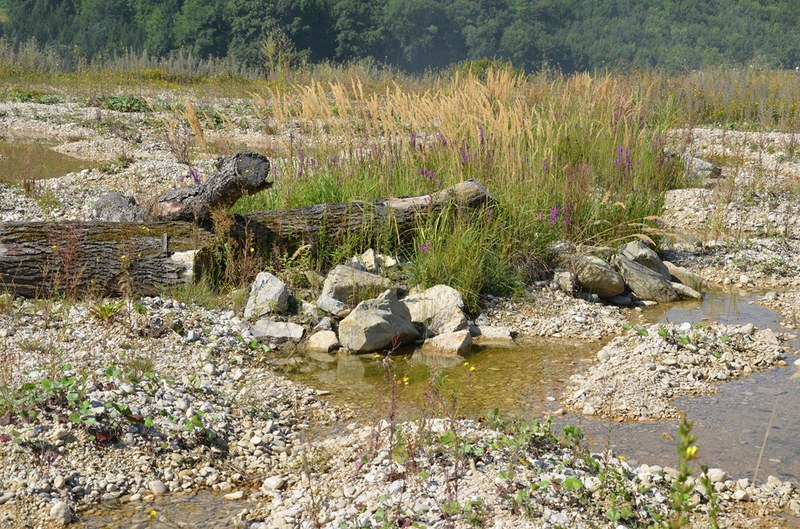 Inventar der Amphibienlaichgebiete