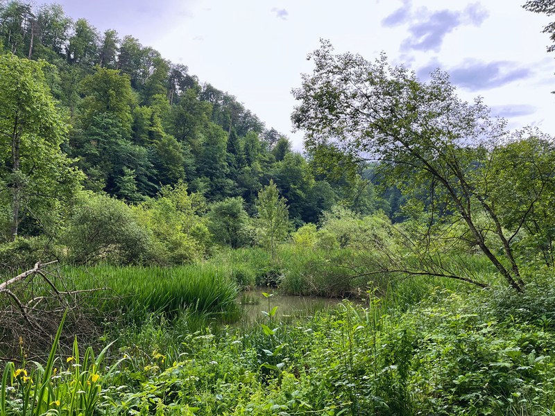Naturschutzgebiete