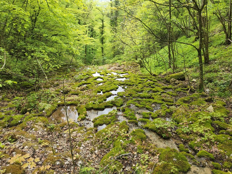 Quellen
