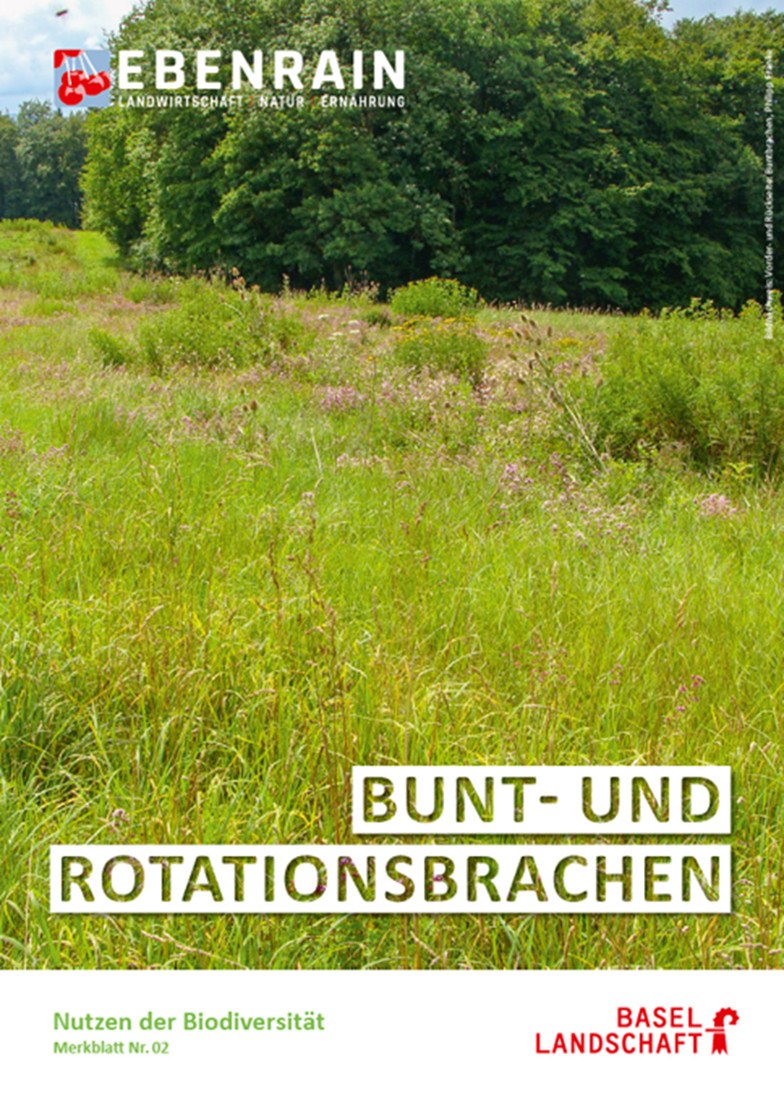 Bild Merkblatt 2