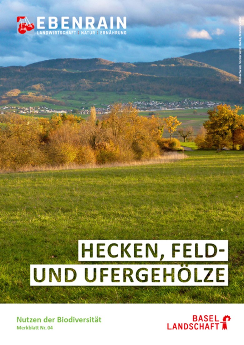 Bild Merkblatt 4