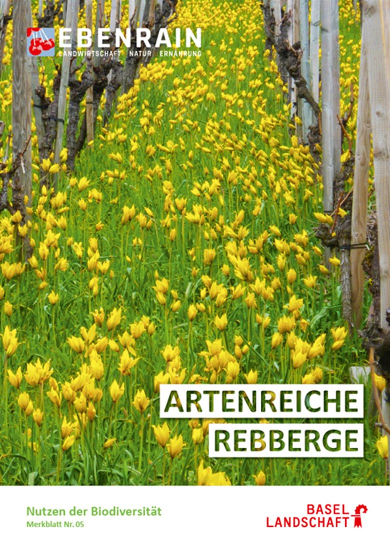 Bild Merkblatt 5