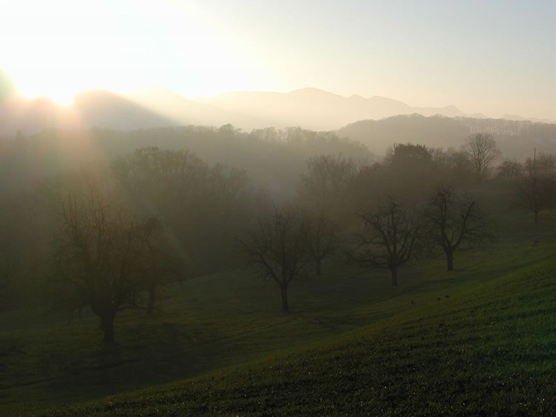 Mättenberg, Gemeinde Rümlingen