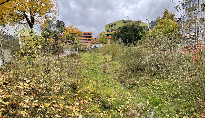 Naturnaher Garten