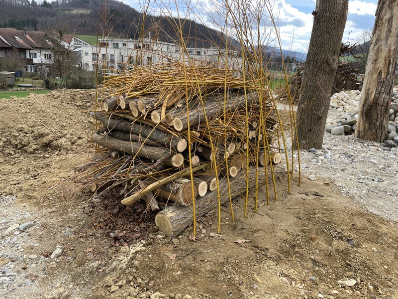 Holz ungedeckt