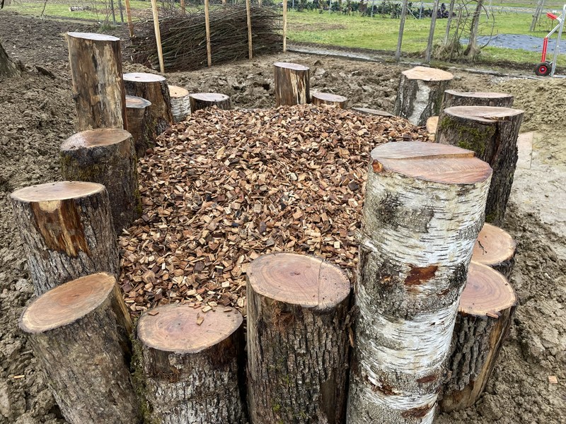 Käferwiege / Mullhaufen