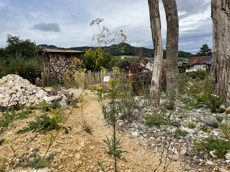 Naturstrukturen