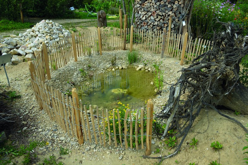 Wasserstelle / Tümpel / Teich