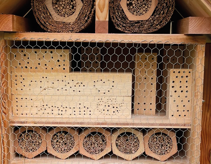 Wildbienenhaus