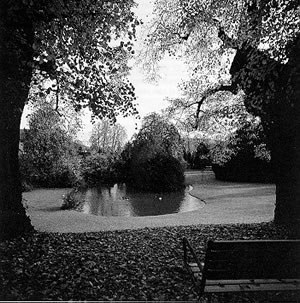 Blick vom Vierlindenplatz in die 1872 von Edouard André geschaffene künstliche Parkkulisse, Aufnahme 1991.