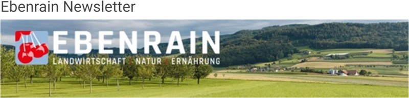 Bild Newsletter