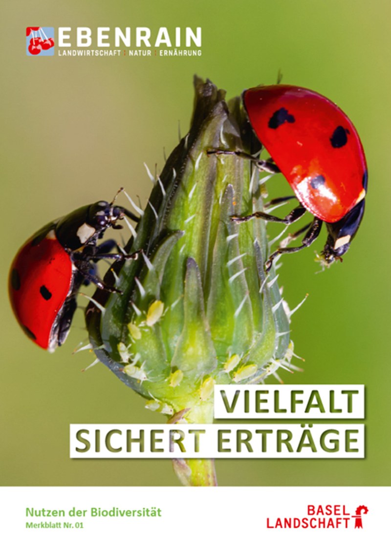 Vielfalt sichert Ernten