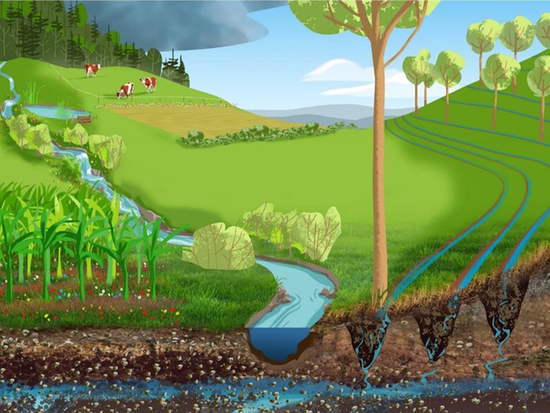 Projekt «Slow Water» geht in die Umsetzungsphase
