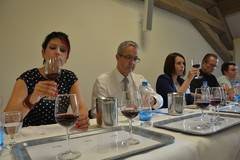 csm_staatswein_2_6b09b17362.jpg
