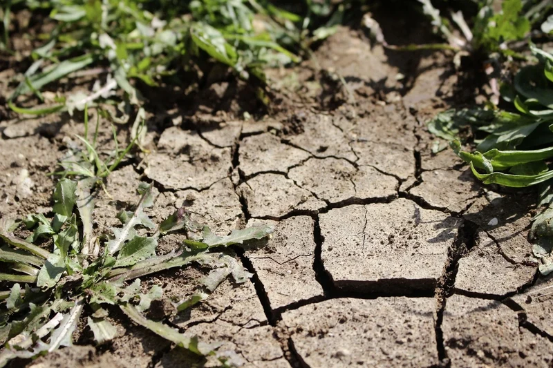 Kanton Basel-Landschaft erlässt Massnahmen wegen anhaltender Trockenheit