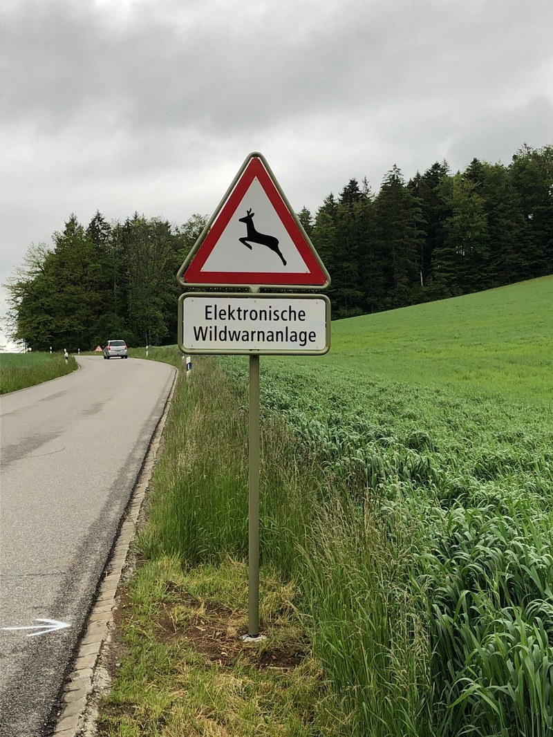 kein Titel