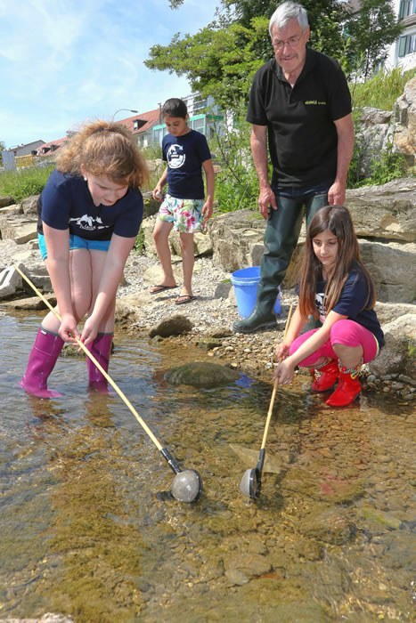 mit-vgd_2014-06-06_lachs3.jpg