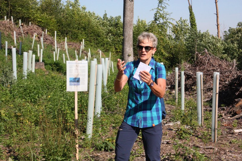 Verena Walpen-Wolf, Präsidentin des Bürgerrats Pratteln, weist auf die Wichtigkeit der Information der Bevölkerung hin, damit Massnahmen wie Neupflanzungen verstanden und akzeptiert werden.