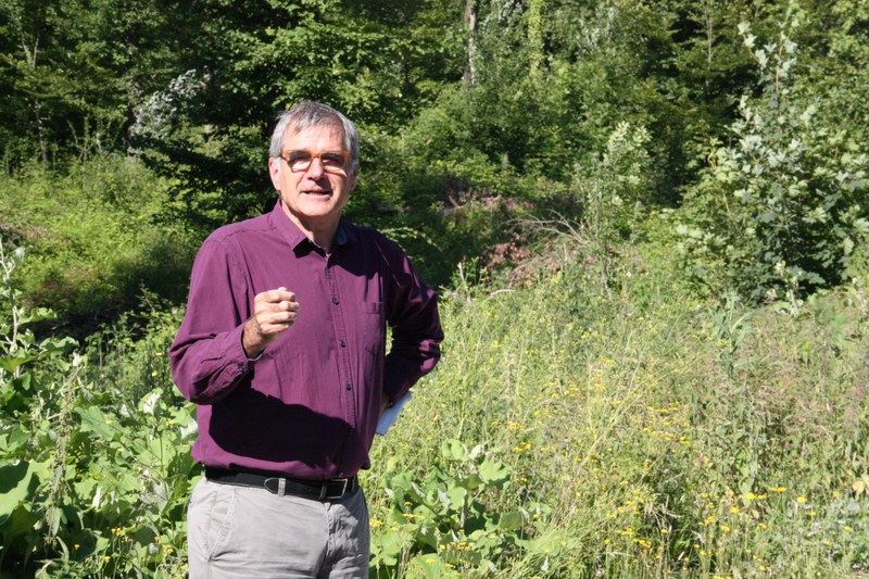 Ueli Meier, Leiter des Amts für Wald beider Basel, zeigt ein Beispiel eines verjüngten Waldes mit vielen verschiedenen Baumarten.