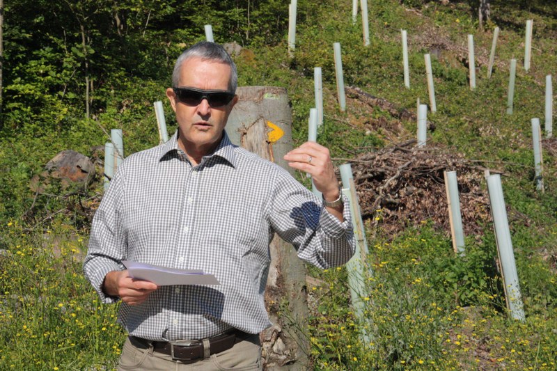 Der für den Wald zuständige Regierungsrat Thomas Weber erläutert die Ziele des Kantons für den Wald der Zukunft. Dazu gehört die Förderung von Baumarten, die mit einem trockeneren und heisseren Klima zurecht kommen, wie beispielsweise Traubeneichen.