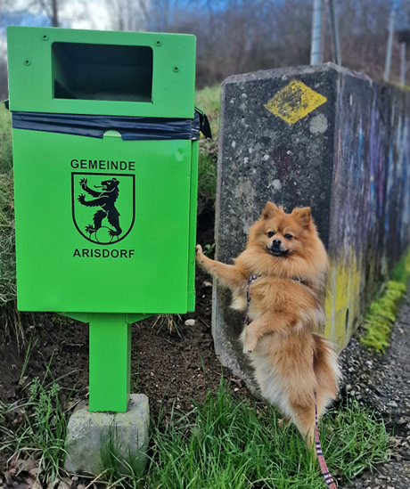 Hundekot