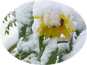 Eptingen im Winter Text