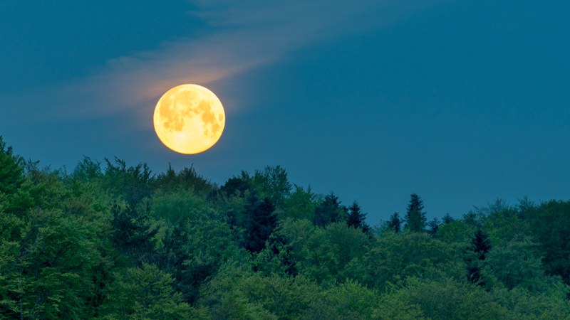 mond.jpeg