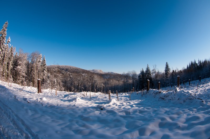 winter_1.jpeg