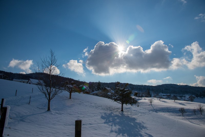 winter_2.jpeg