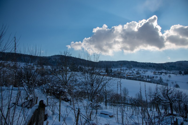 winter_3.jpeg