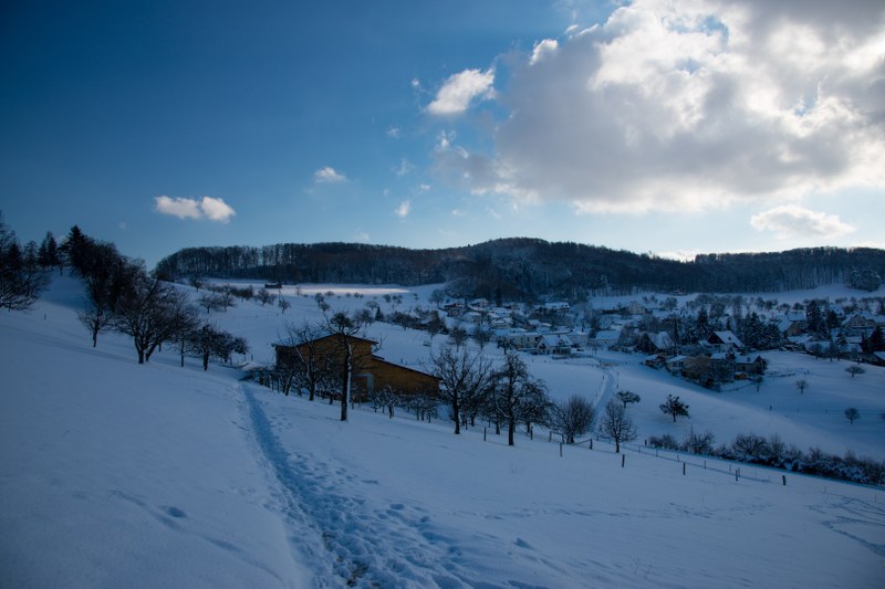 winter_4.jpeg