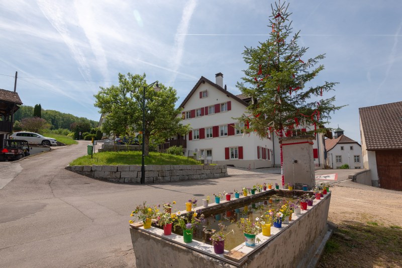 zinggenbrunnen.jpeg