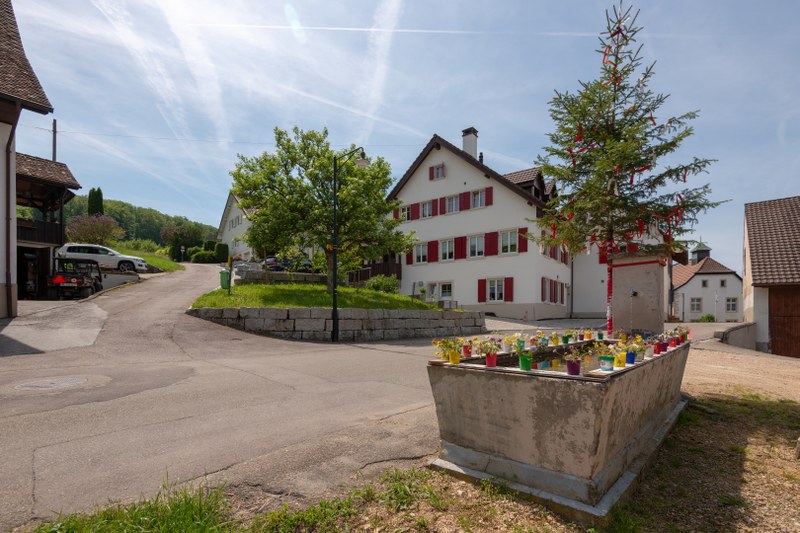 zinggenbrunnen_1.jpeg