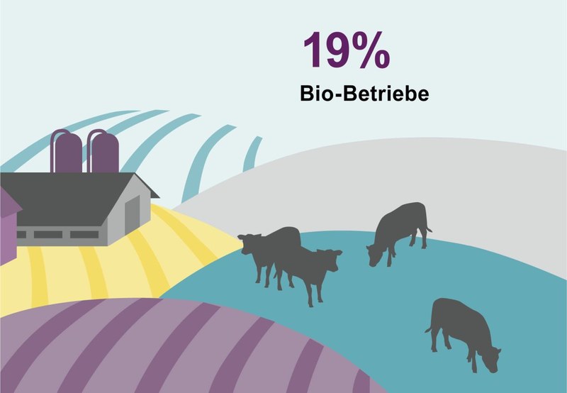 Rückgang Anteil Bio-Betriebe