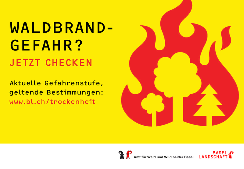 Waldbrandgefahrenstufe zurückgestuft – «geringe Gefahr»